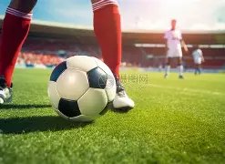 开云体育,资讯,开云体育官网,开云体育官网,开云体育APP,KaiYun,Sports,开云体育平台