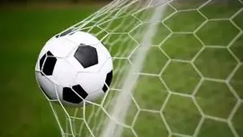 开云体育 资讯 172103 kj5